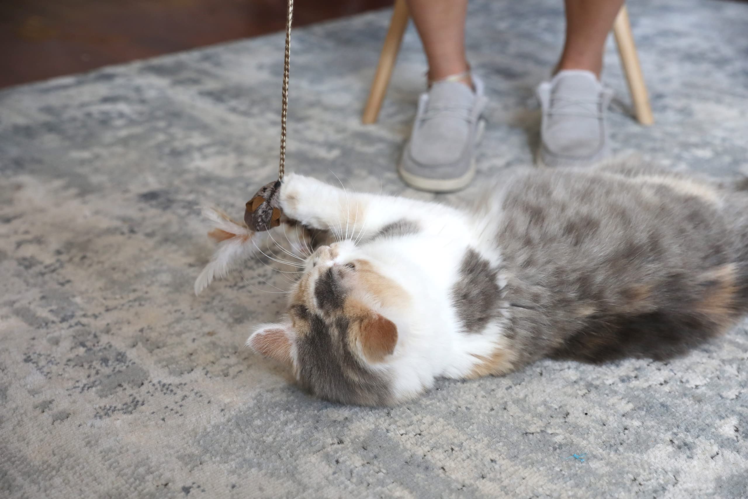 OurPets Play-N-Squeak encourage l'interaction entre chat et propriétaire.