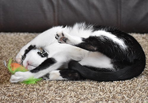 OurPets piment-jouet-chat-herbe-à-chat touche d'excitation