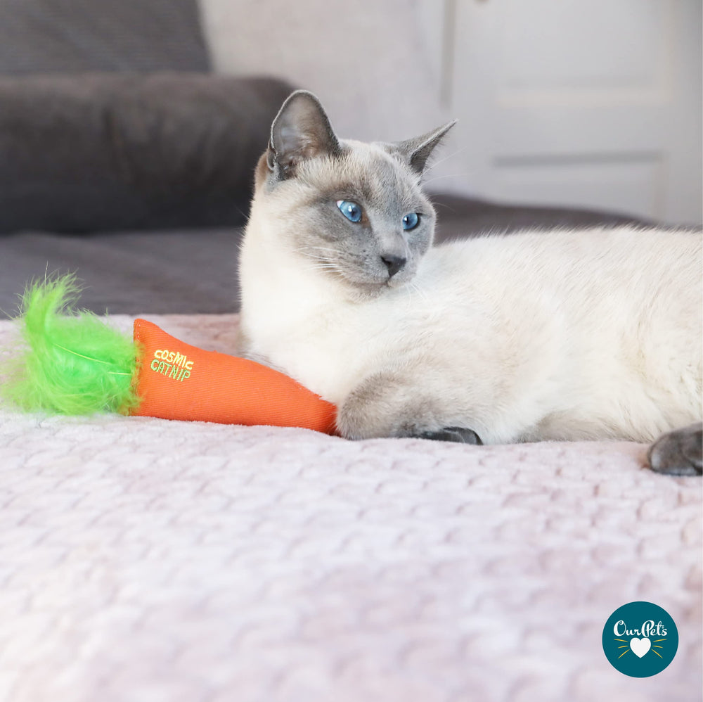 OurPets poisson-jouet-chat-herbe-à-chat encouragement à courir et bondir