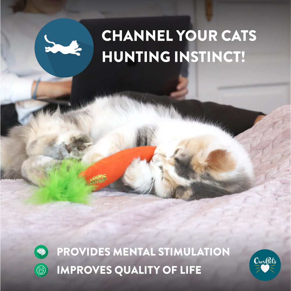 OurPets serpent-jouet-chat-herbe-à-chat éveillant l'instinct de chasse