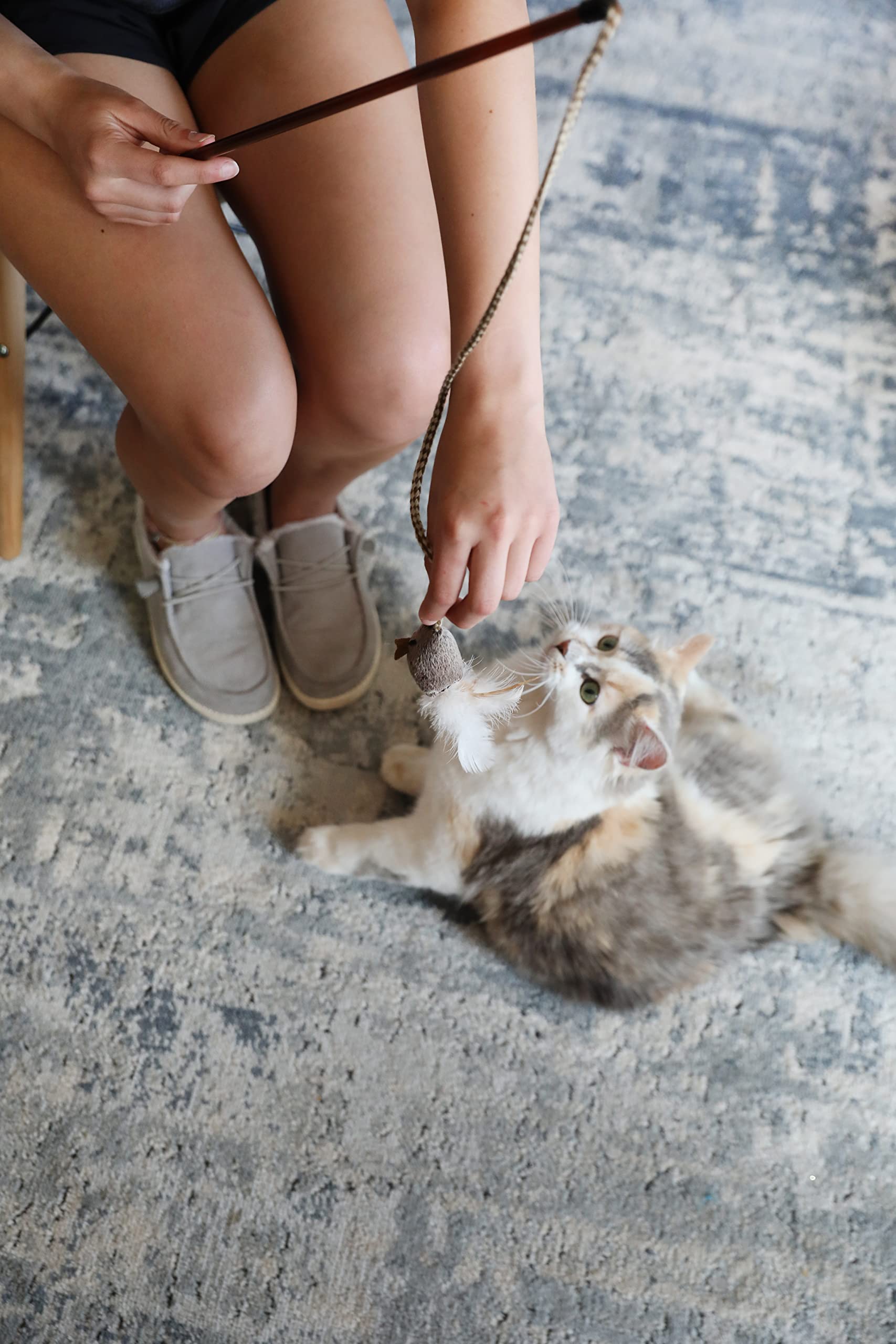 OurPets Play-N-Squeak favorise stimulation mentale et activité physique du chat.