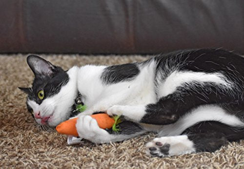 OurPets texture-jouet-chat-douce-arome expérience tactile et olfactive