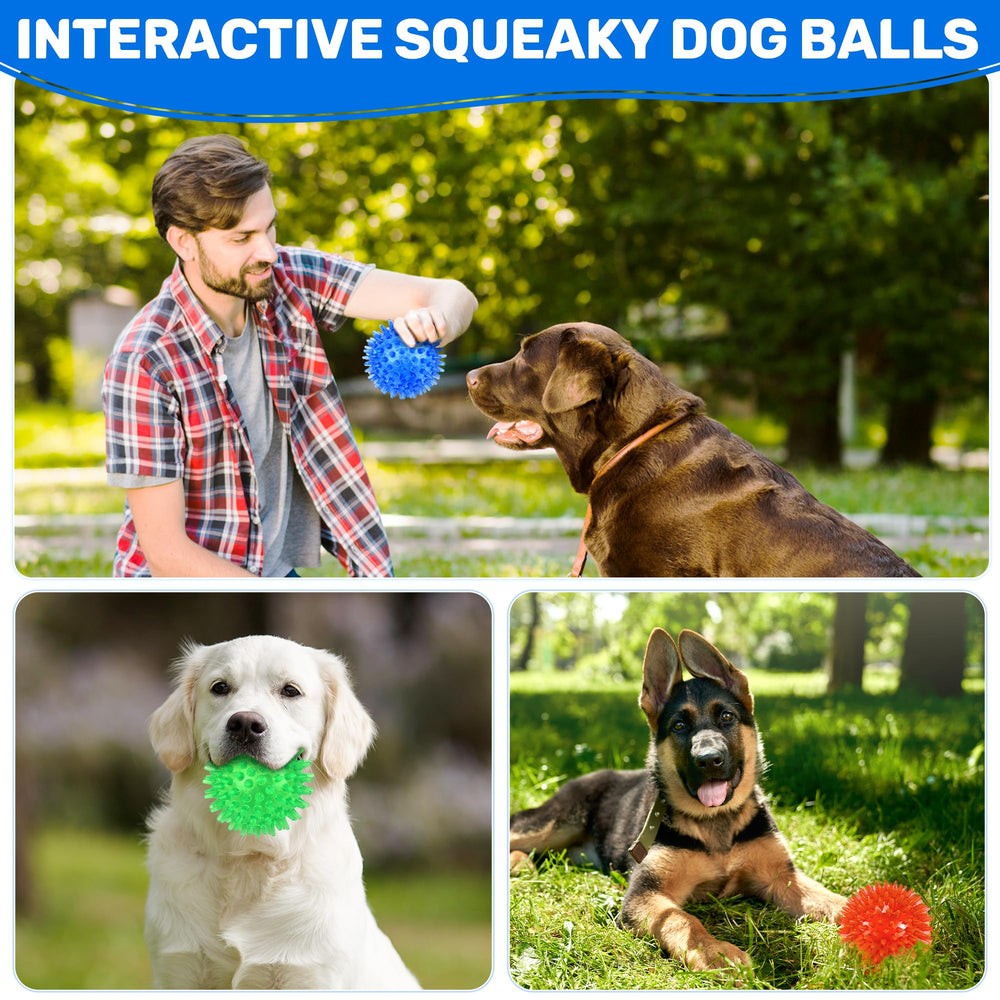 Balles Ousiya pour chien jeu de lancer et récupération