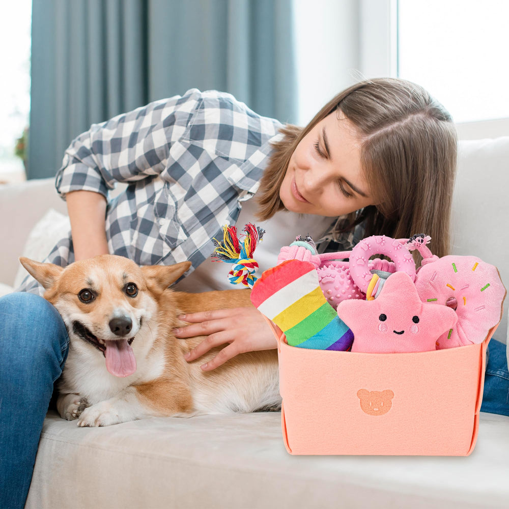Boîte de rangement Ousiya pour chiot, organisation pratique des jouets.