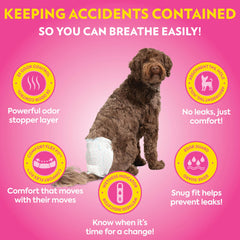 OUT! Petcare couches-pour-chien femelle barrieres-antifuites pour voyages