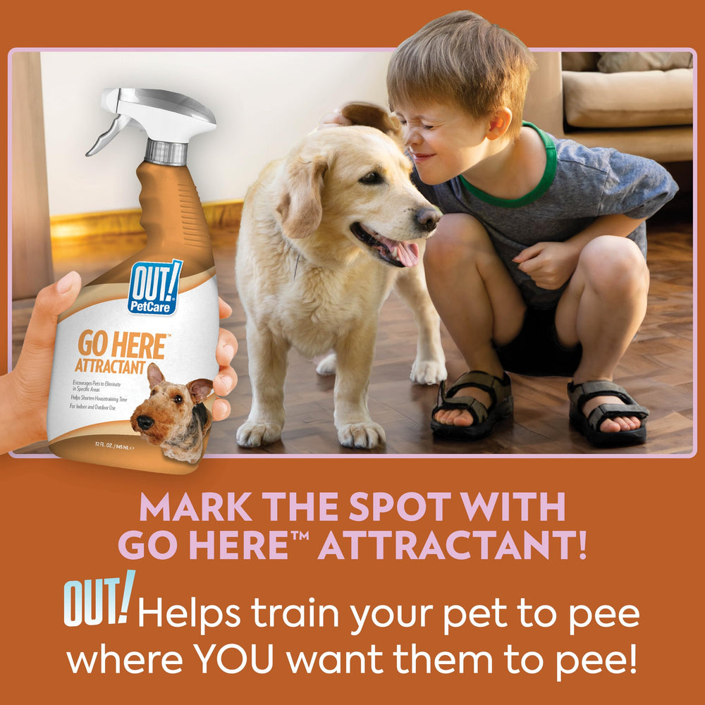 OUT! Outil de dressage sur tapis d’entraînement pour chiots et chiens.