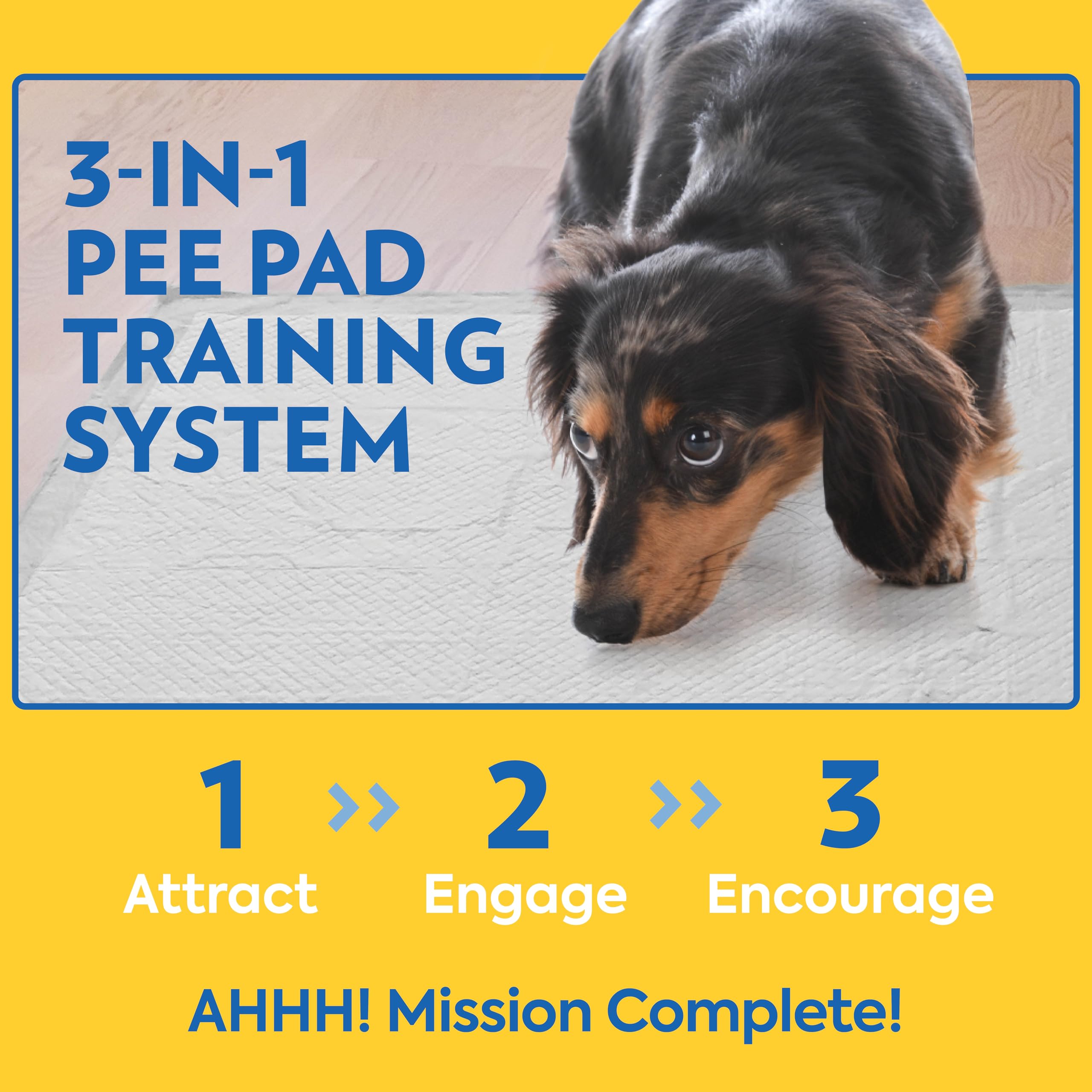 OUT! Tapis-pipi XXL, usage intérieur pratique pour chiens de grande taille