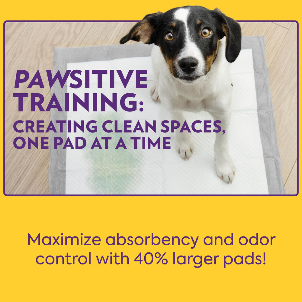OUT! PetCare XL Tapis contrôle des odeurs pour intérieur frais