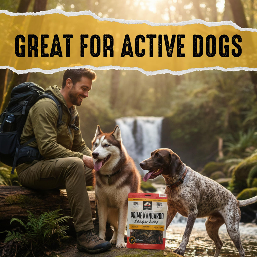 Protéine unique et adaptée pour chiens sensibles avec Outback Bones Prime Kangaroo Jerky.
