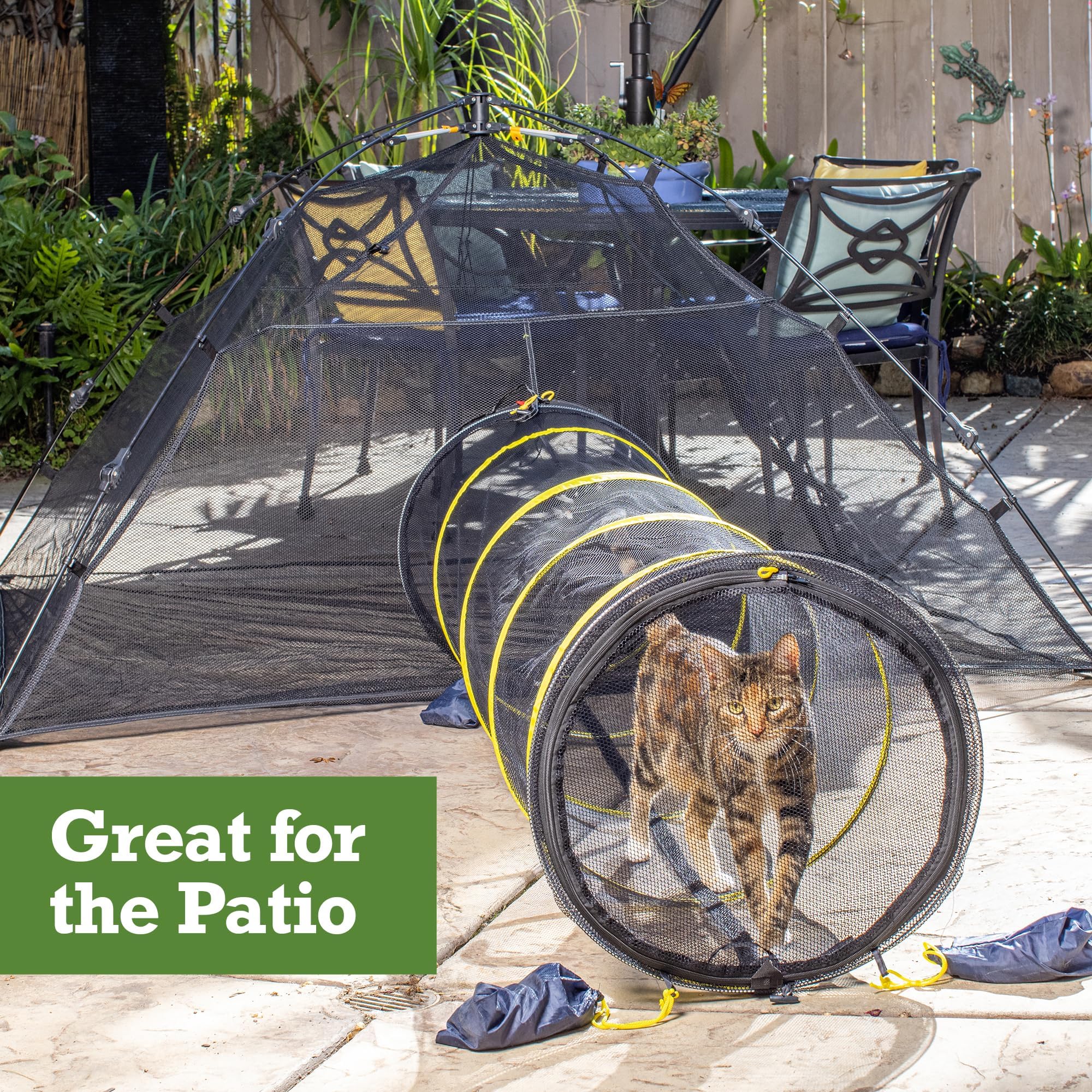 Outback Jack Kit chat extérieur: solution compacte pour camping et sorties.