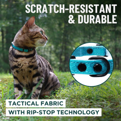 OutdoorBengal collier-ajustable: ajustement précis pour chats adultes de moyenne à grande.