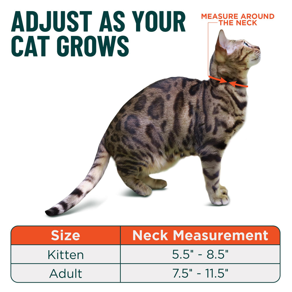 OutdoorBengal collier reglable chat adulte – taille moyenne à grande.