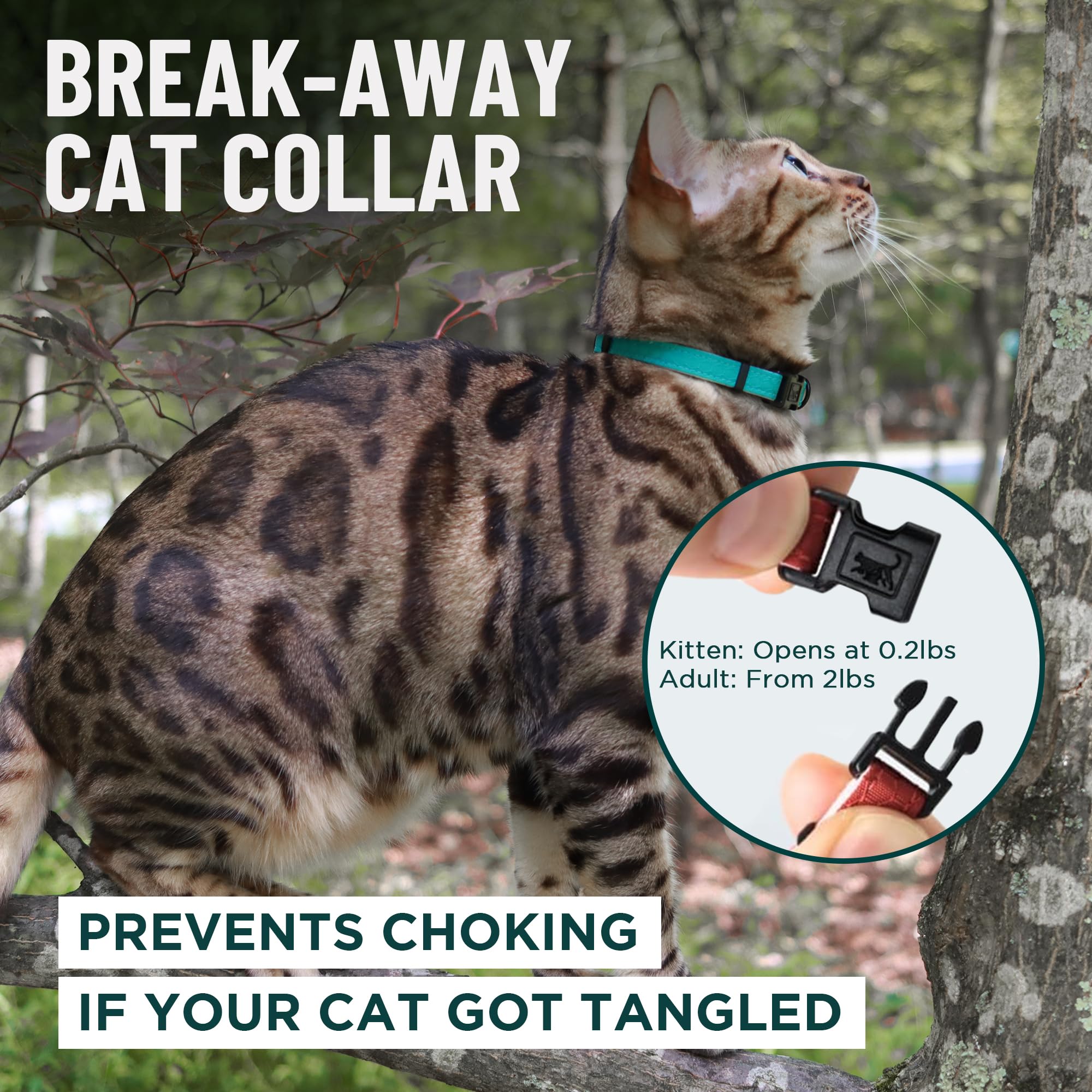 OutdoorBengal collier rouge avec rembourrage doux pour le confort.