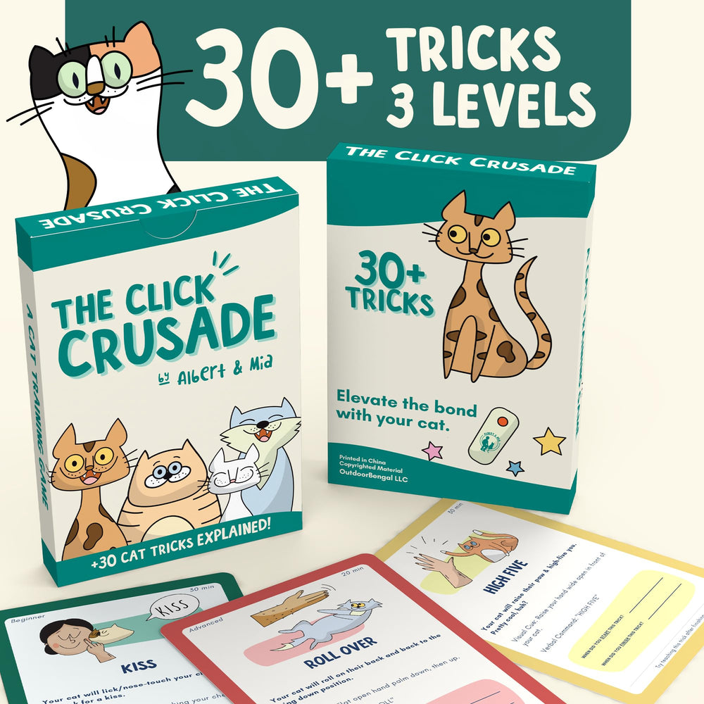 OutdoorBengal La Croisade du Clic – exercices d’assis et de venir, renforçant l’obéissance.