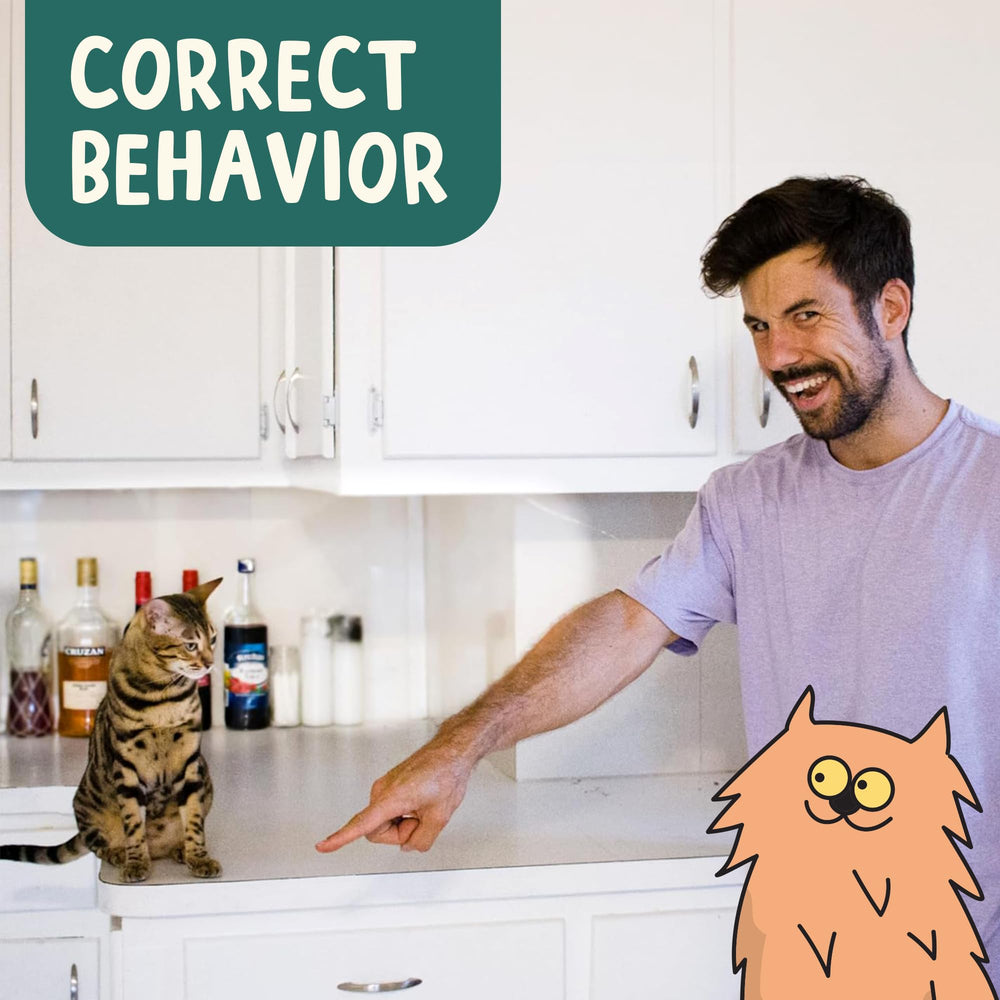 OutdoorBengal La Croisade du Clic – travail sur le griffoir et la litière.