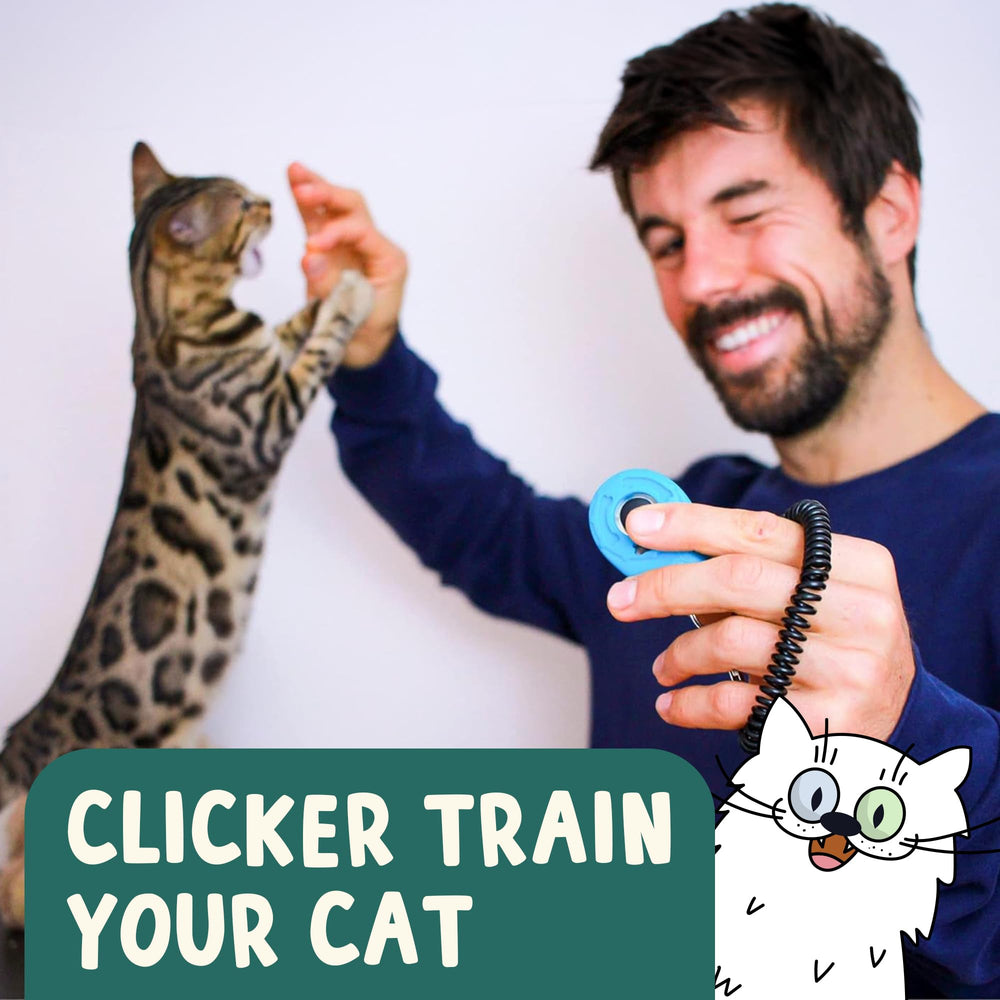 OutdoorBengal La Croisade du Clic – renforcement positif renforçant le lien et la communication.