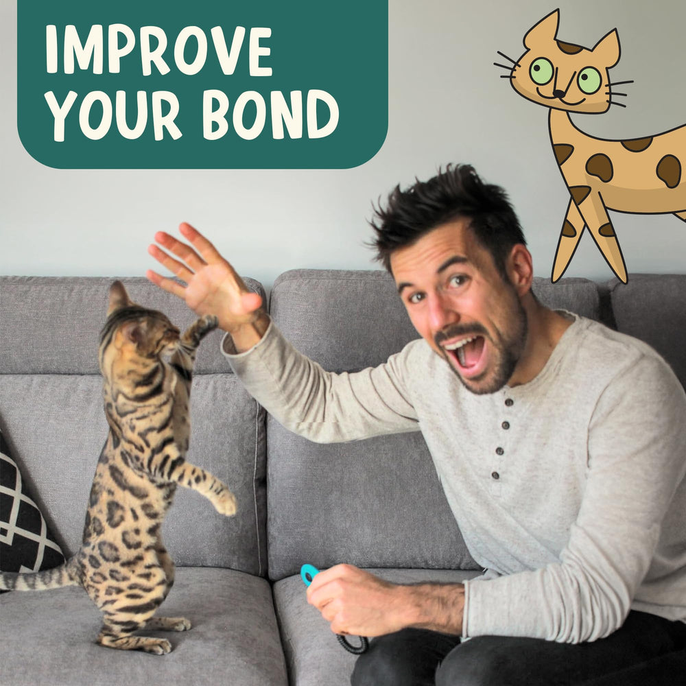 OutdoorBengal La Croisade du Clic – tours ludiques comme rotation et attention du chat.