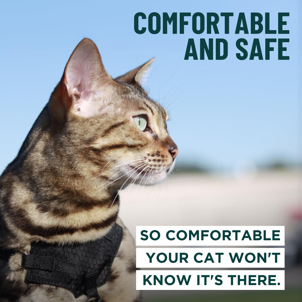 Harnais OutdoorBengal ajustable avec rembourrage poitrine pour un port confortable.