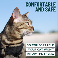 Harnais OutdoorBengal ajustable avec rembourrage poitrine pour un port confortable.