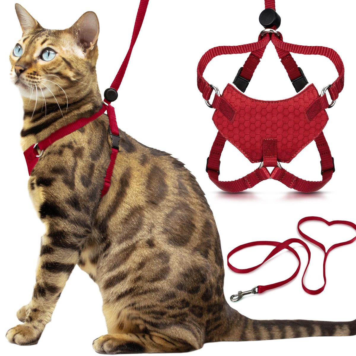 Harnais Houdini OutdoorBengal anti-evasion pour chat, sécurité renforcée en promenade.