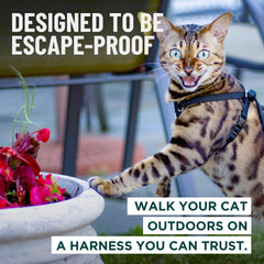 Harnais Houdini OutdoorBengal chat avec rembourrage poitrine pour confort durable.
