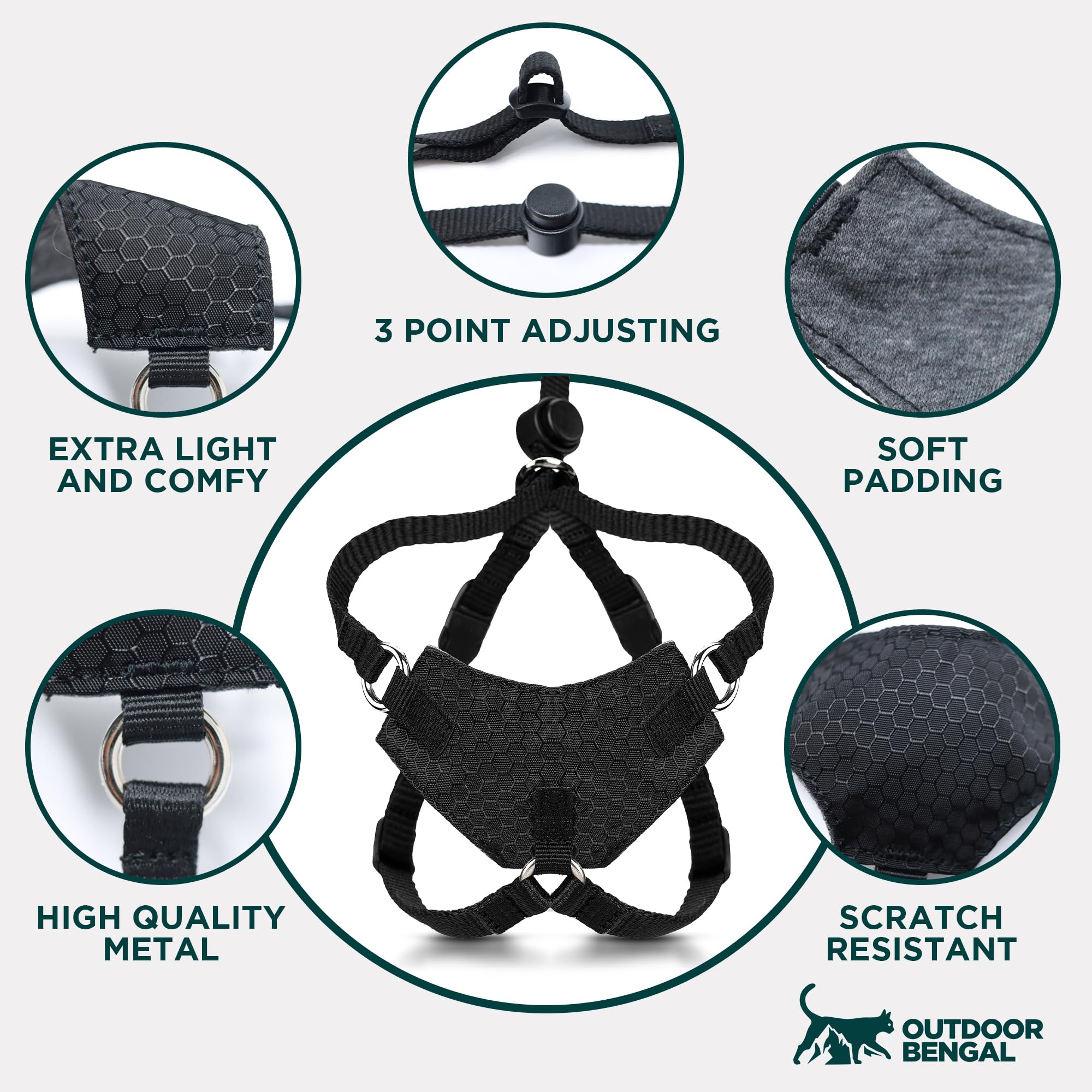 Harnais OutdoorBengal testé sur terrain varié pour chats aventureux.