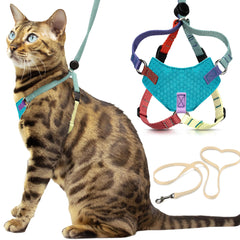 Harnais Houdini OutdoorBengal anti-fuite, sécurité renforcée pour chats explorateurs.