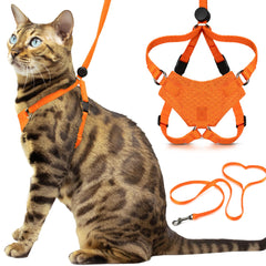 OutdoorBengal Houdini harnais-chat-orange-petit ensemble prêt pour promenade sécurisée
