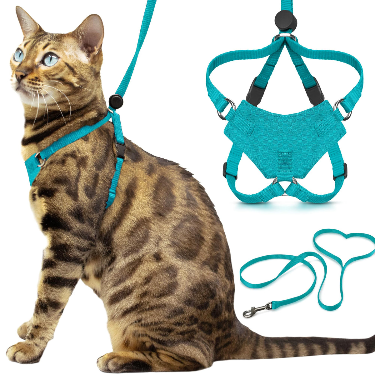 OutdoorBengal Houdini : harnais chat turquoise, sécurité du cou lors des promenades.