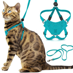 OutdoorBengal Houdini : harnais chat turquoise, sécurité du cou lors des promenades.