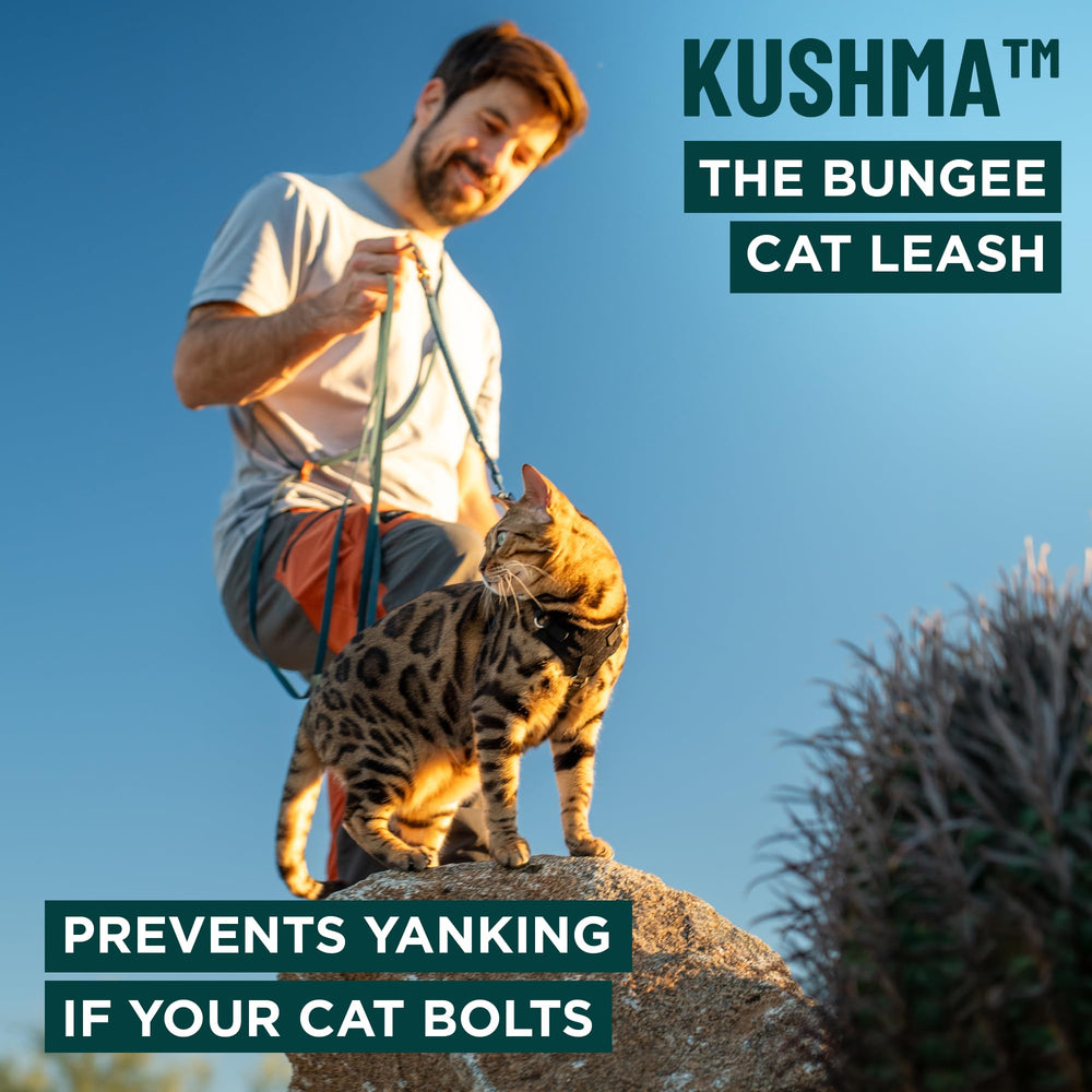 OutdoorBengal Kushma – bungee amortisseur pour réduire les à-coups lors des tirages.
