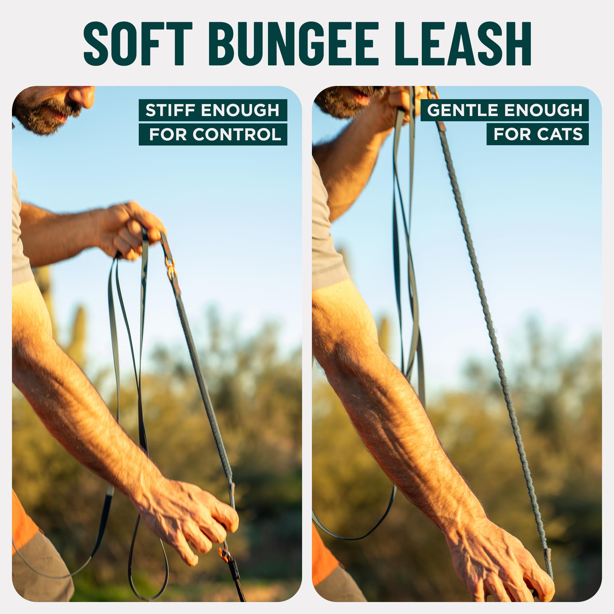 OutdoorBengal Kushma – longueur 14 pieds sans enchevêtrement pendant les promenades.