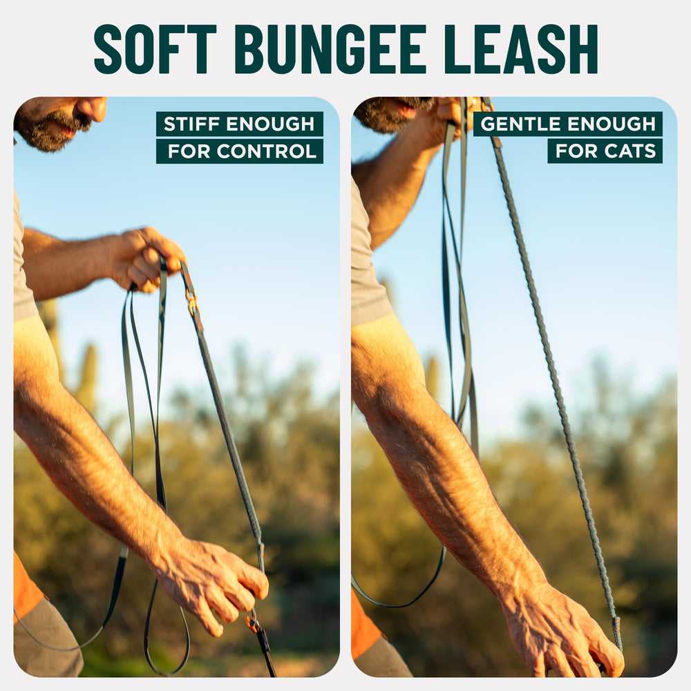 OutdoorBengal Kushma – longueur 14 pieds sans enchevêtrement pendant les promenades.