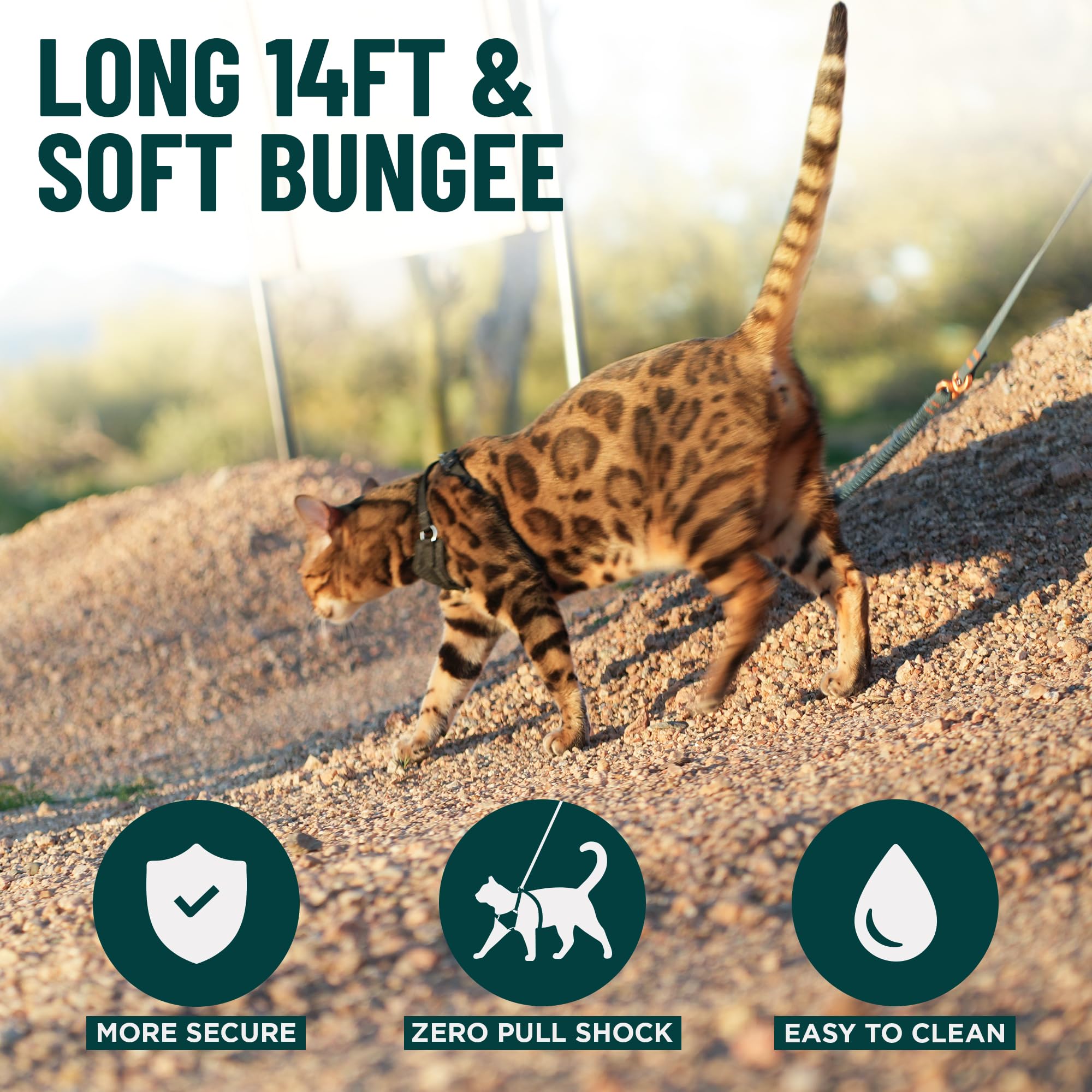 OutdoorBengal Kushma – conçue pour chats et petits chiens.
