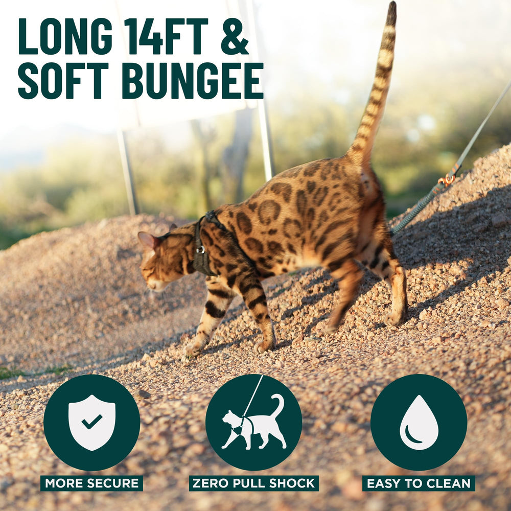 OutdoorBengal Kushma – conçue pour chats et petits chiens.