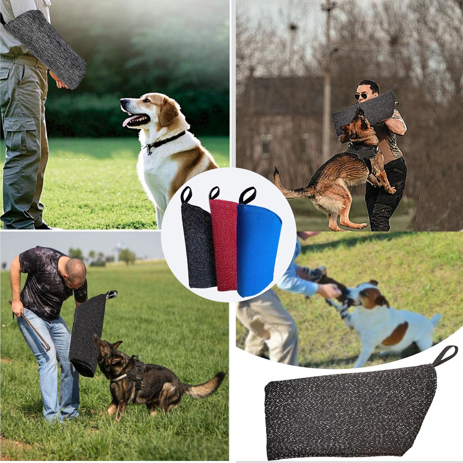 Outdoorigo Progression d'entraînement: idéal pour débutants et chiens entraînés