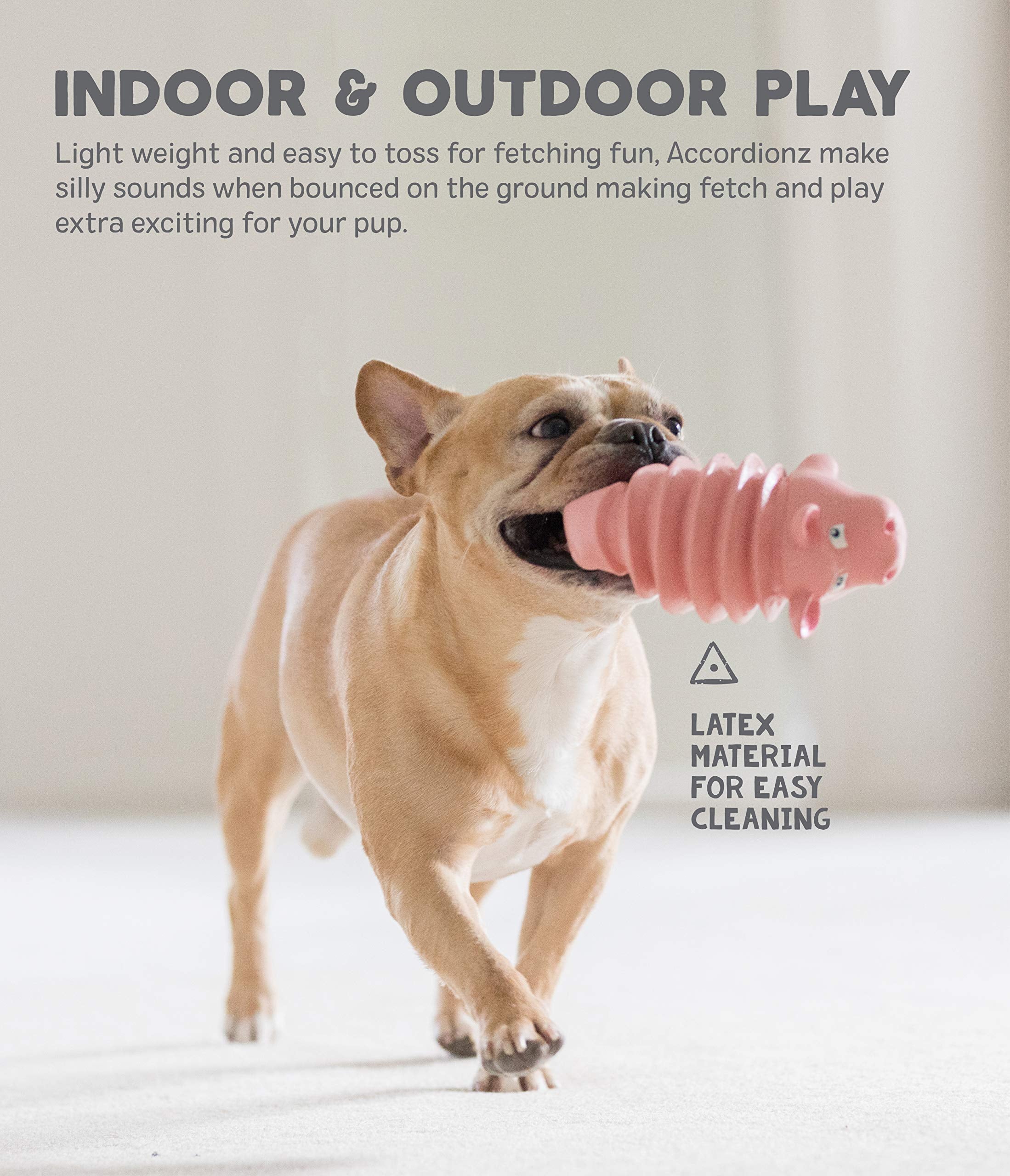 Outward Hound Accordionz Alligator: endurance et polyvalence pour des jeux intenses et variés.