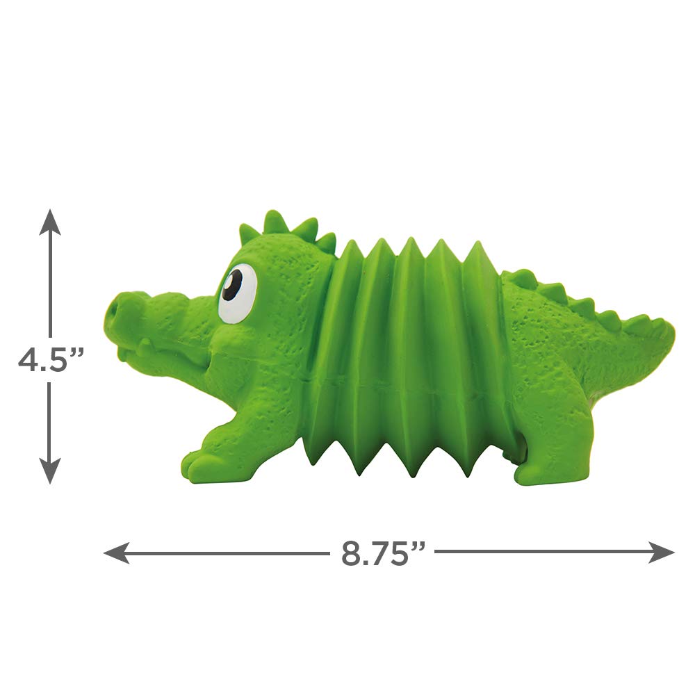 Outward Hound Accordionz Alligator: robuste et polyvalent pour chiens de toutes tailles.