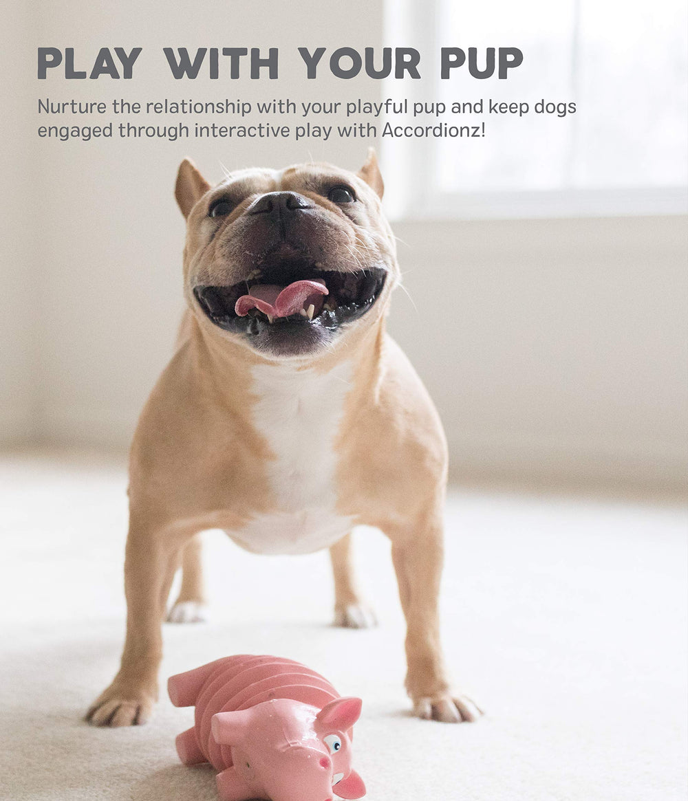 Outward Hound Accordionz Alligator: texture souple favorisant le mordillage et l’exploration sûre.