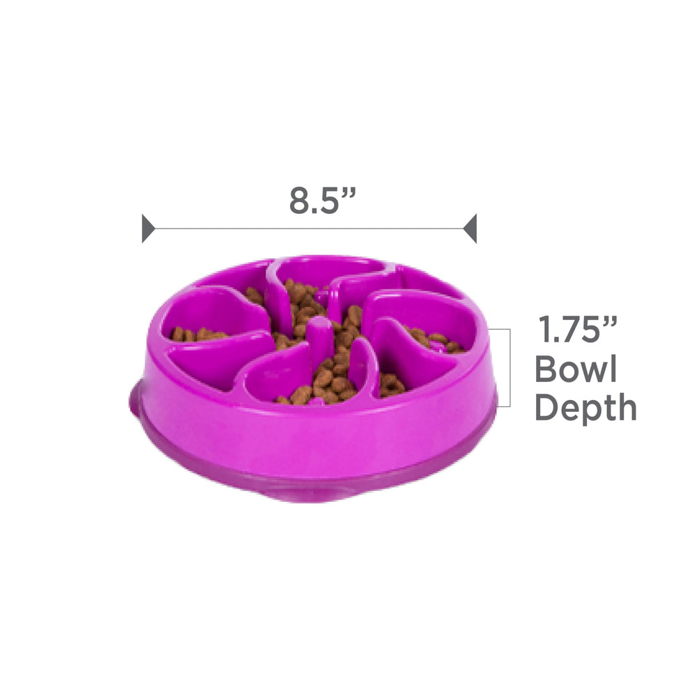 Outward Hound bol-lave-vaisselle-2-tasses – nettoyage pratique et hygiénique
