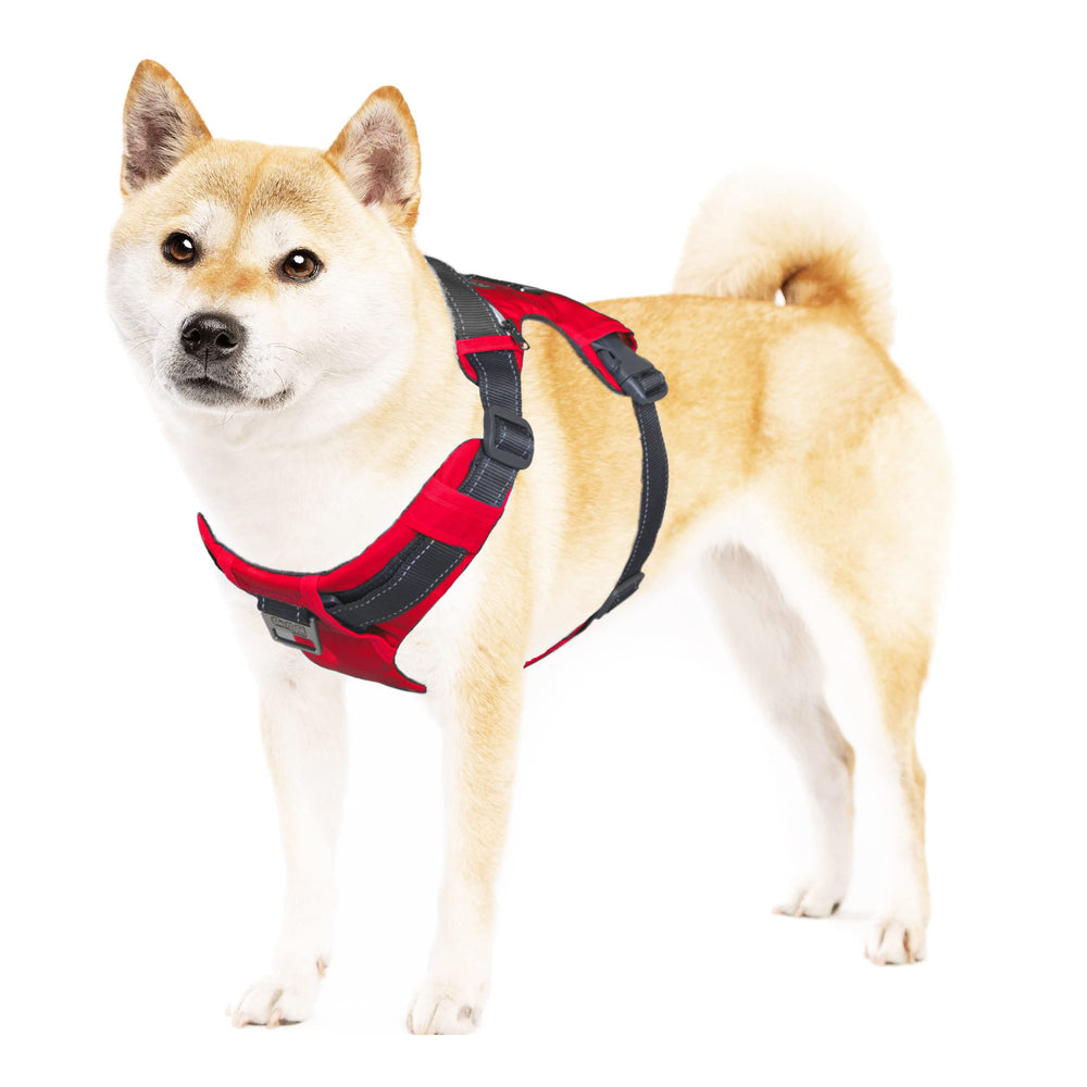 Outward Hound Boulder avec poches, pratique pour friandises et clés lors de balades.