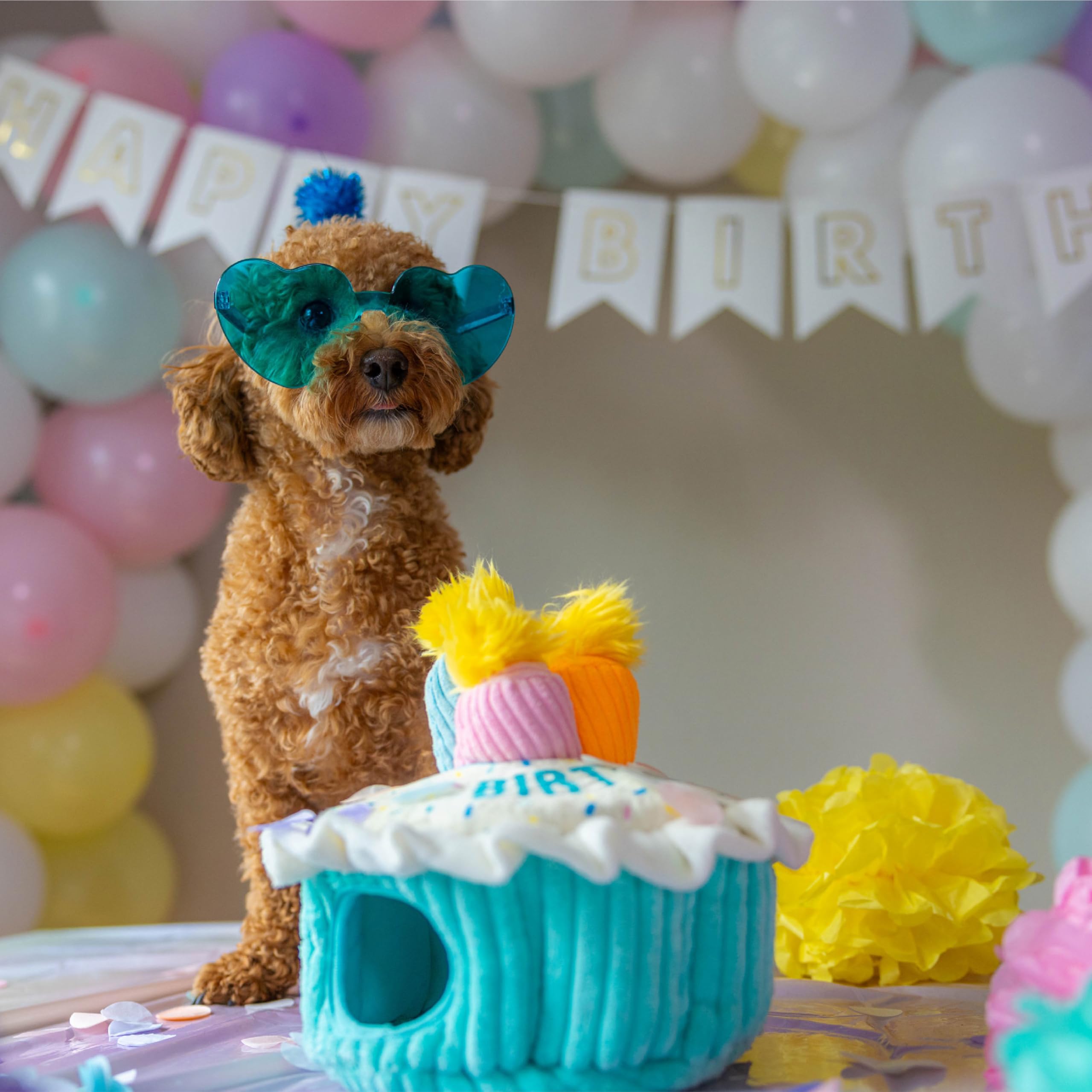 Outward Hound Cachettes Gateau: cachettes intégrées pour jeux et exploration