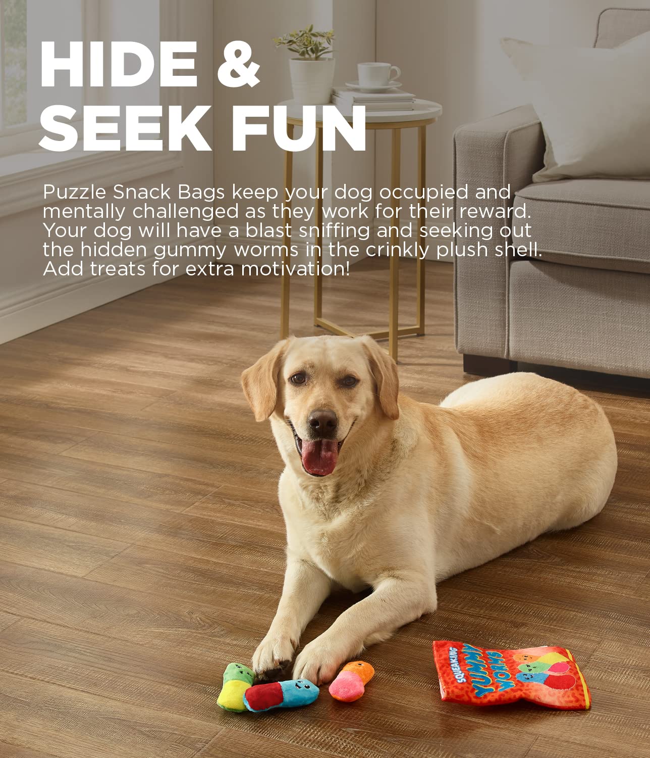 Le chien détecte les vers gélifiés dans le sac en peluche Outward Hound.