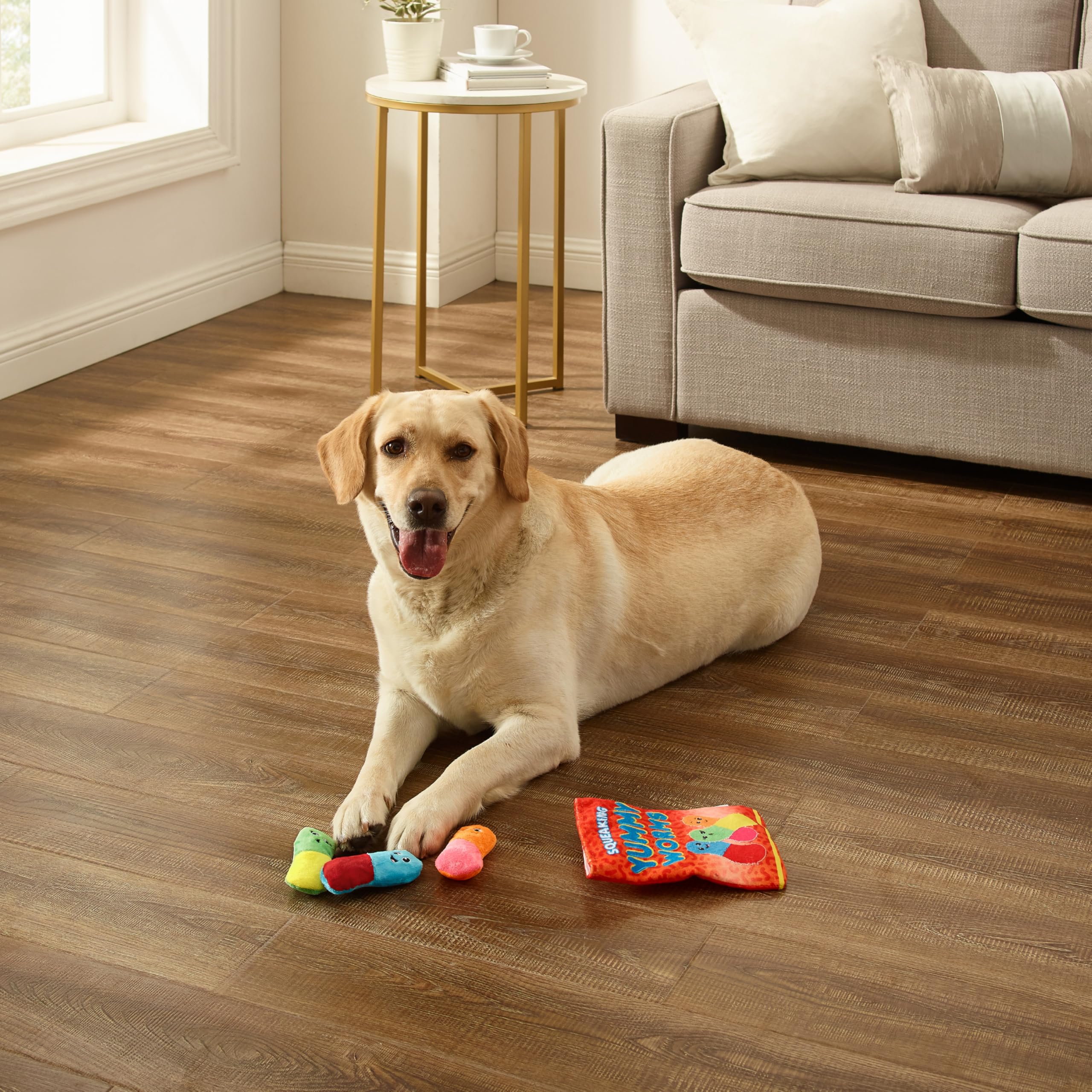 Occupation mentale pour chien grâce à la combinaison de friandises et jouets.