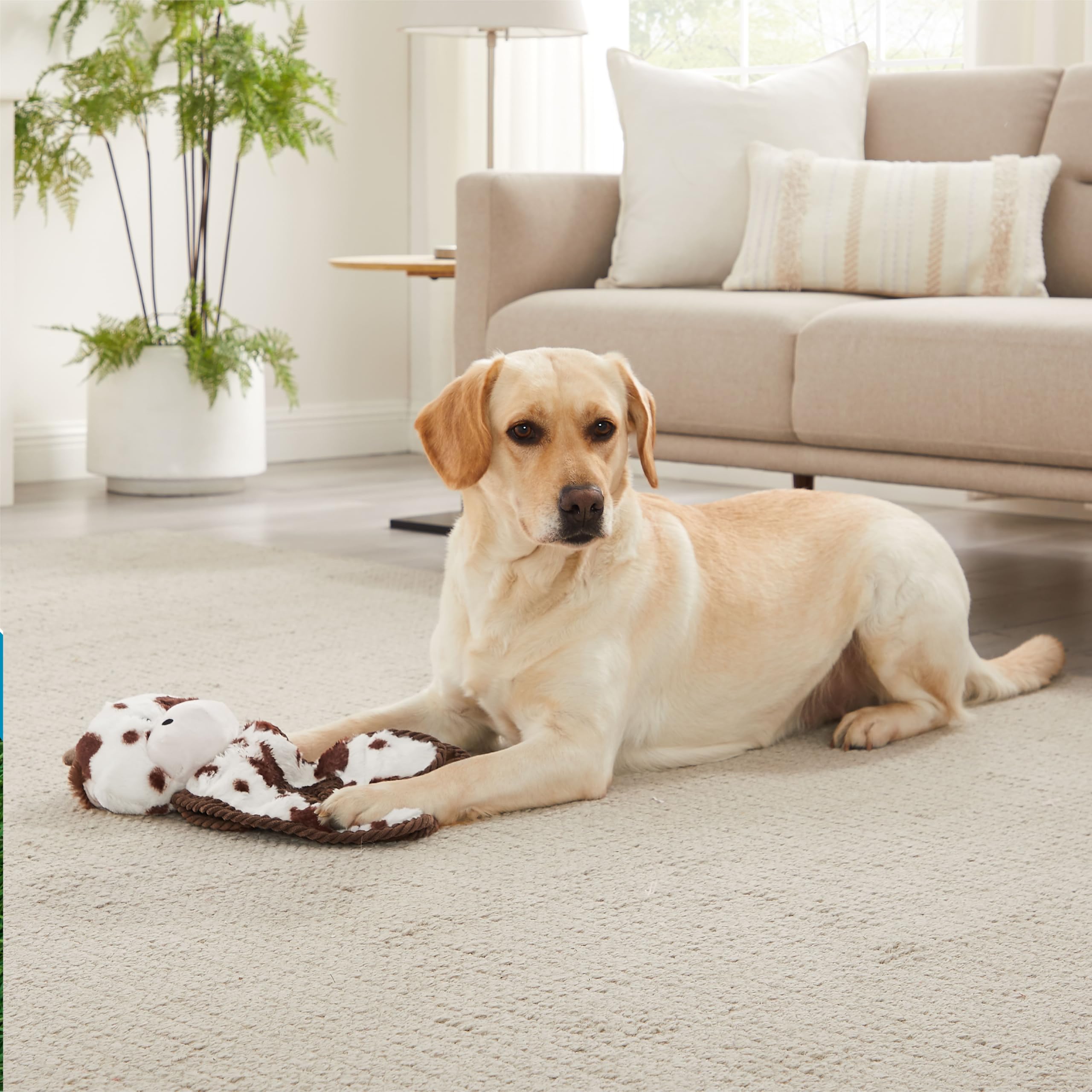 Outward Hound peluche vache texture corduroy douce pour chien