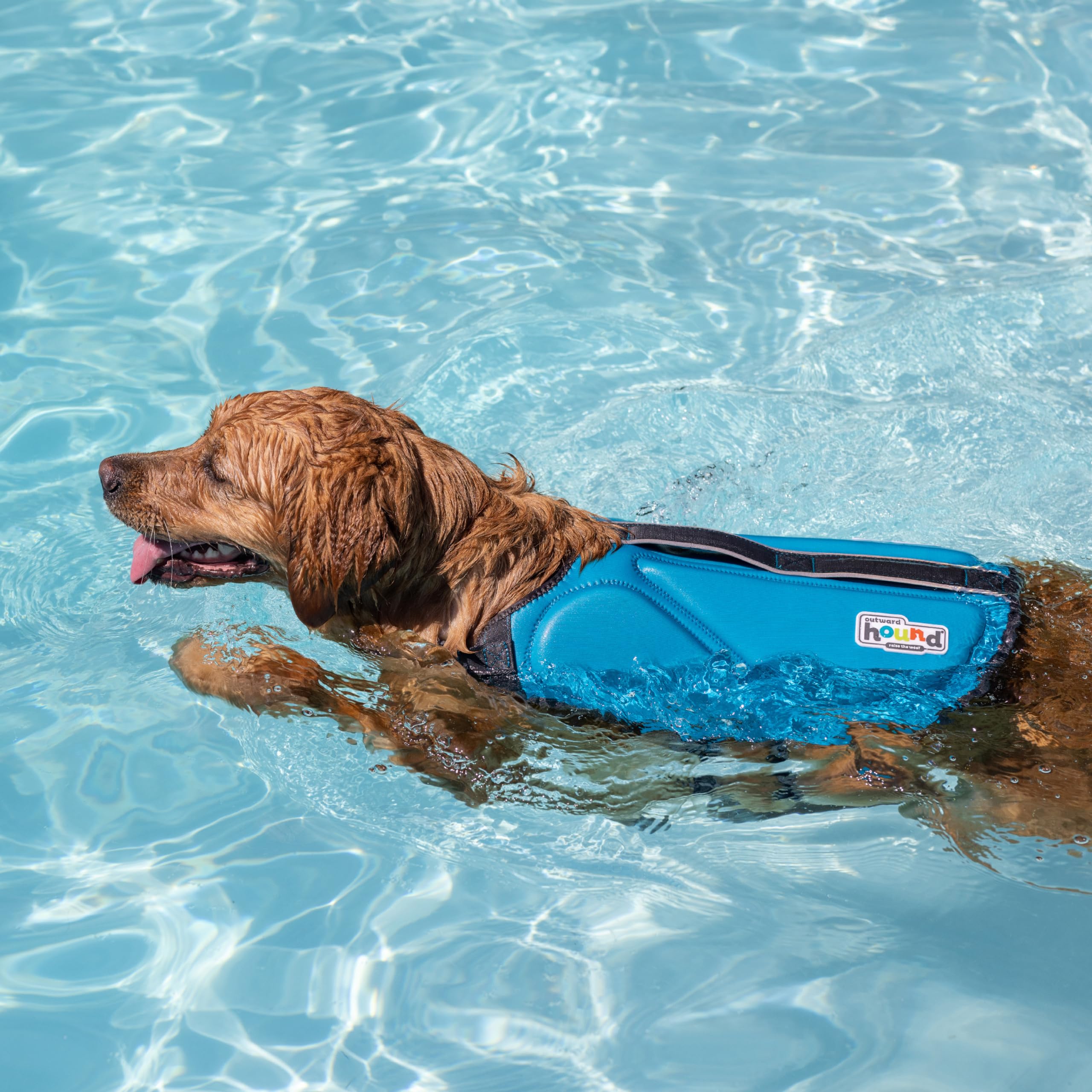 Conception sportive légère Dawson pour une liberté de mouvement lors des activités aquatiques.