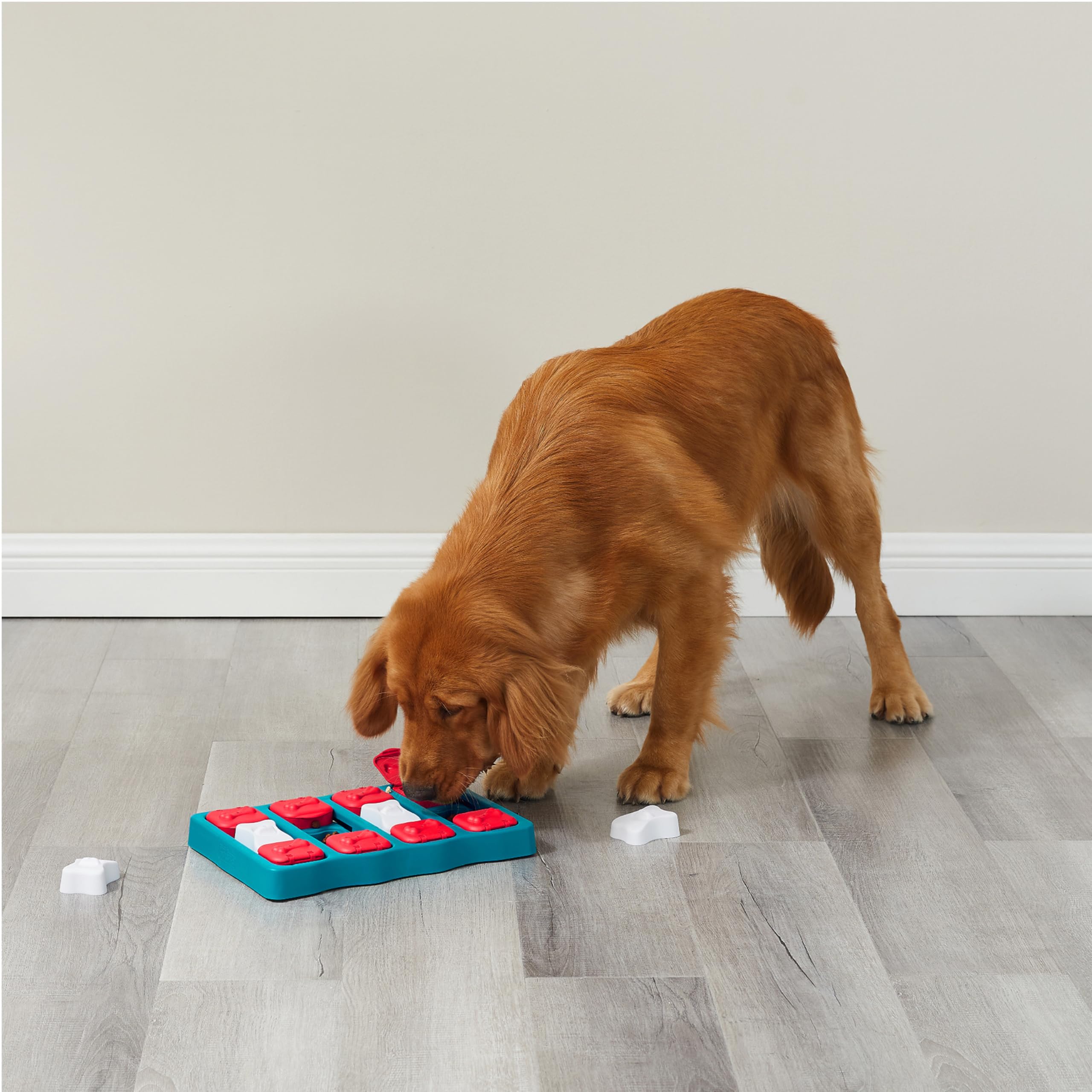 Outward Hound Dog Brick différentes tailles adaptées pour tous les chiens