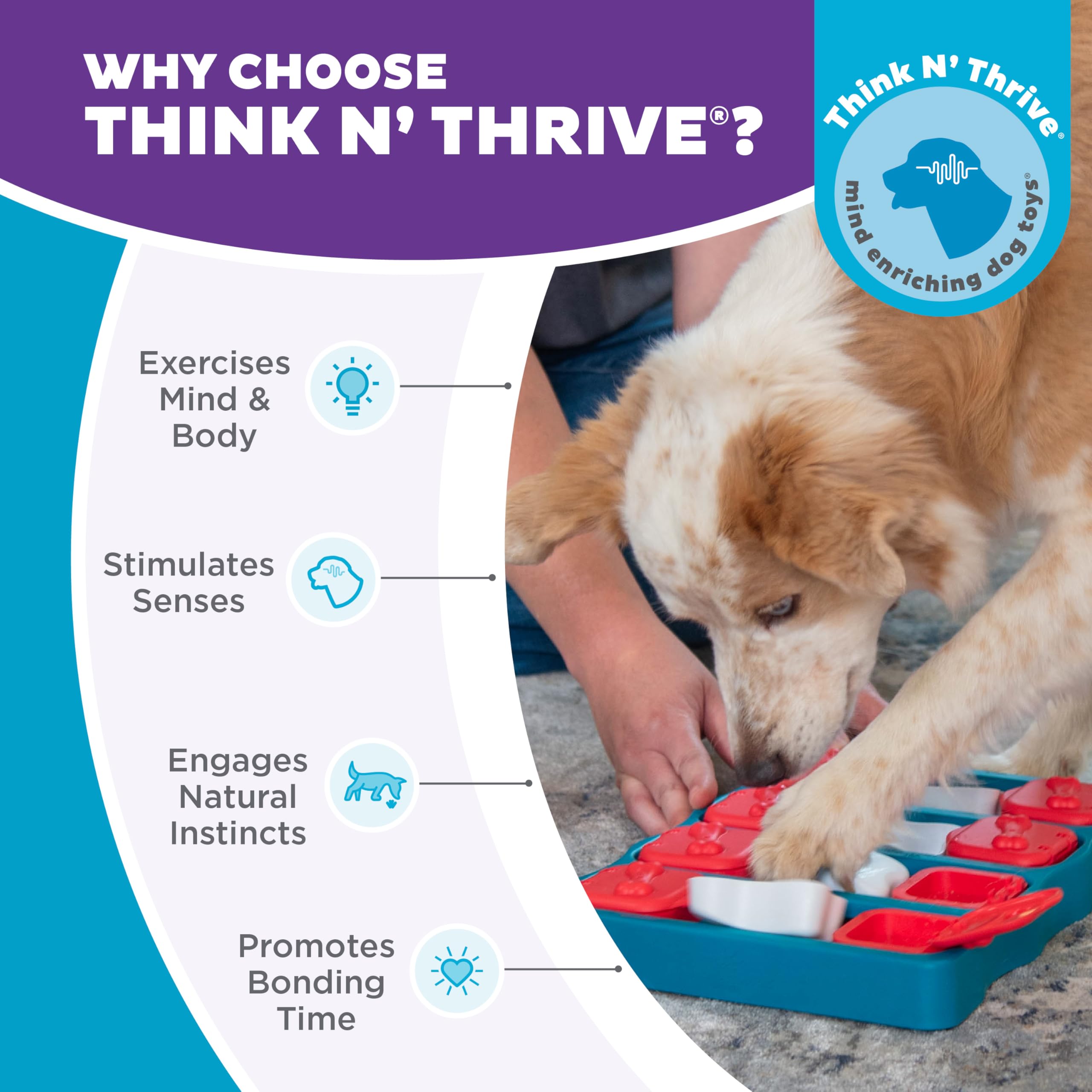 Outward Hound Dog Brick mécanisme résoluble favorisant raisonnement et concentration