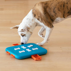 Outward Hound Dog Casino mécanisme tiroirs – défi intellectuel pour chien.