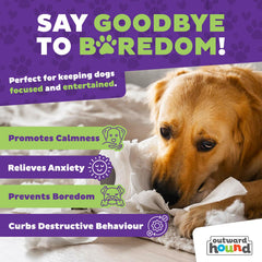 Outward Hound Dog Casino récompenses cachées – motivation et jeu interactif.